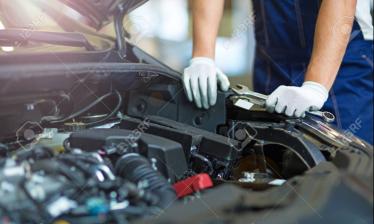 Servicio de inspección