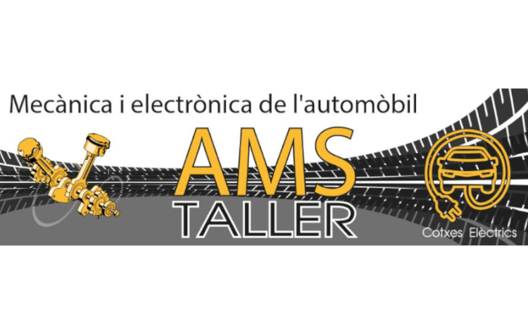 Mecànica i Electònica de l`automòbil